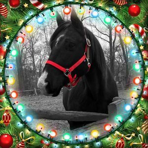 Meet your Posher, Francine